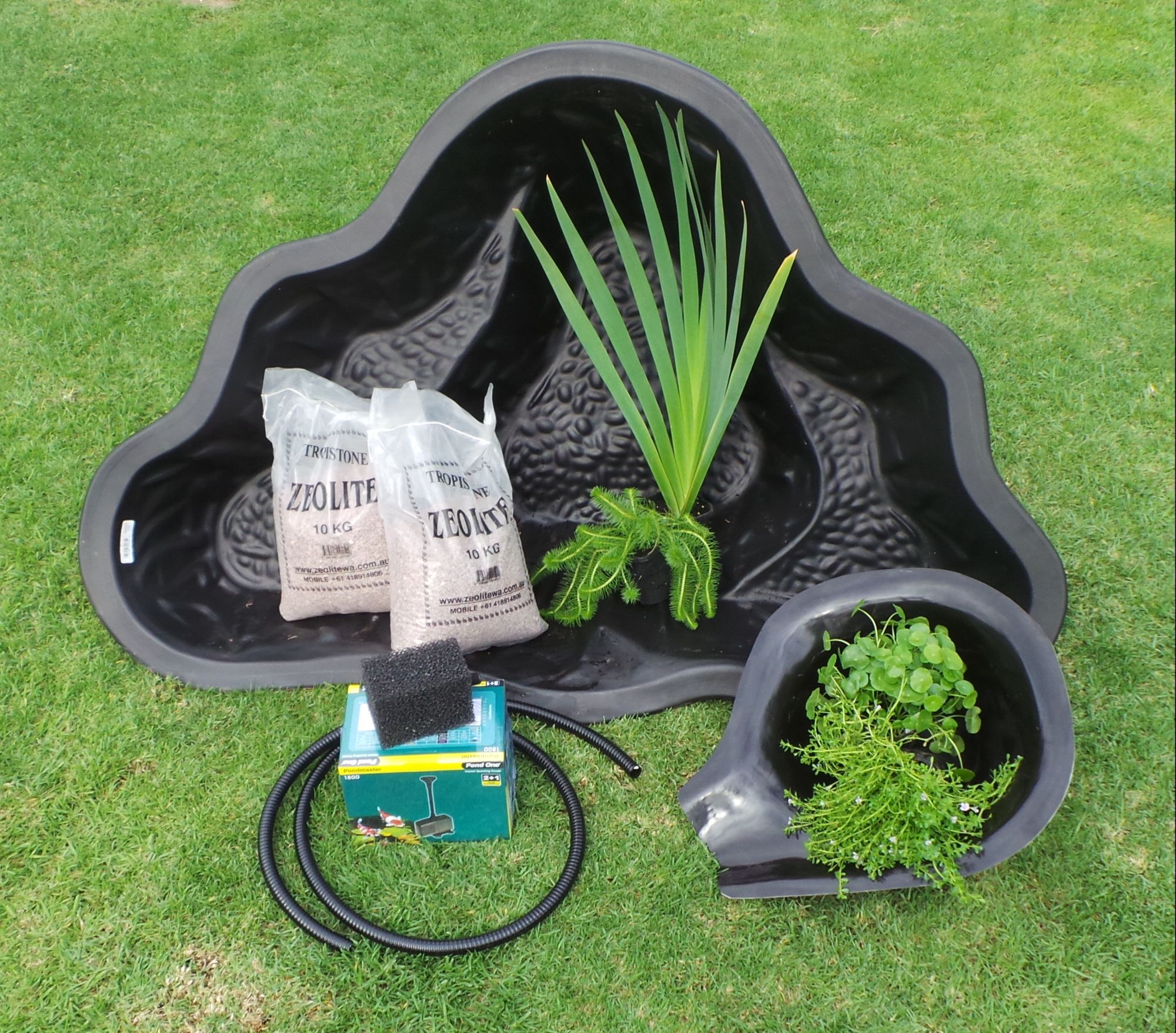 buy online fish, plants, ponds, pumps & aquaponics - perth